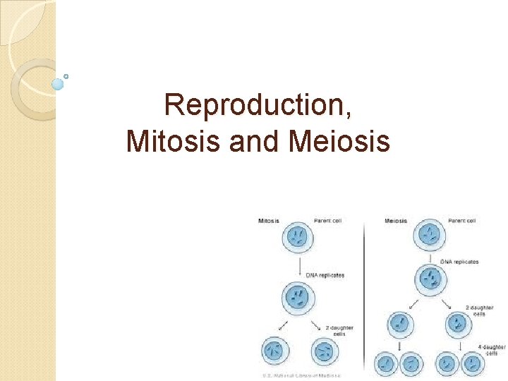 Reproduction, Mitosis and Meiosis 