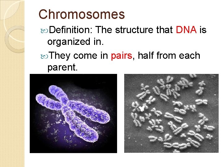 Chromosomes Definition: The structure that DNA is organized in. They come in pairs, half