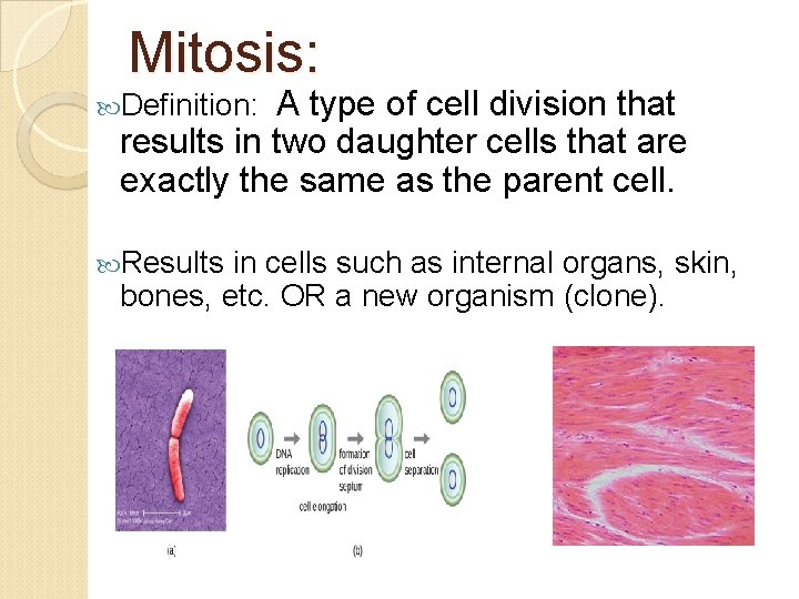 Mitosis: A type of cell division that results in two daughter cells that are