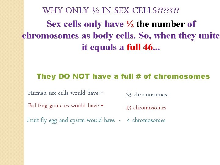 WHY ONLY ½ IN SEX CELLS? ? ? ? Sex cells only have ½