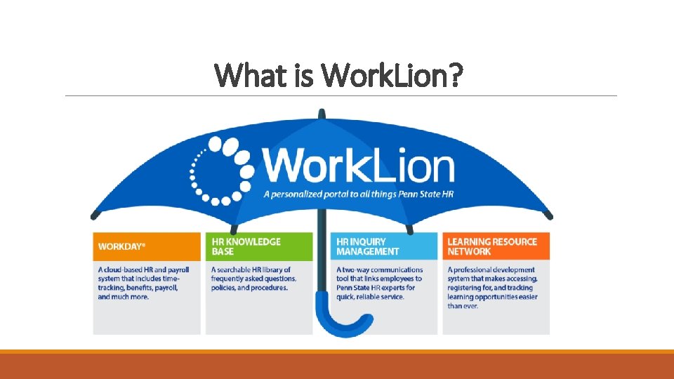 What is Work. Lion? What is Work. Lion?