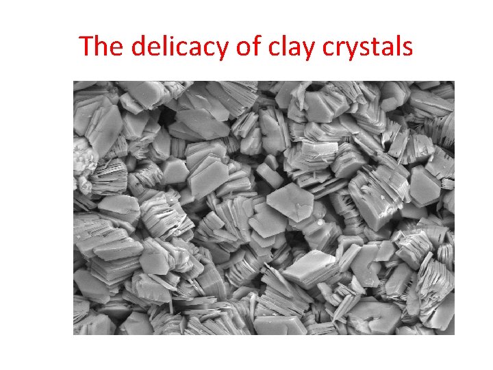 The delicacy of clay crystals 