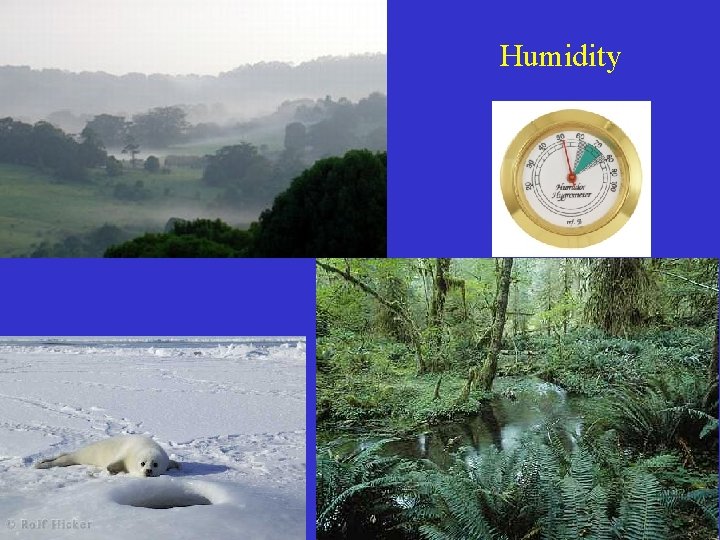 Humidity 