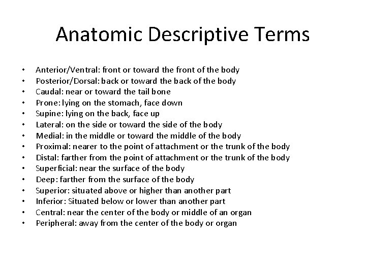 Anatomic Descriptive Terms • • • • Anterior/Ventral: front or toward the front of