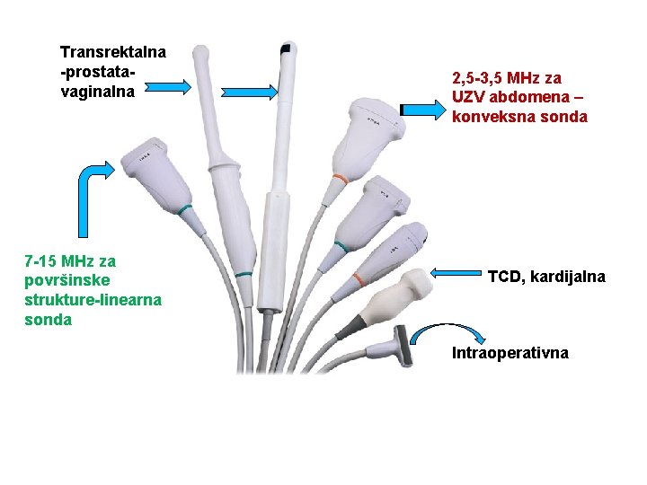 Transrektalna -prostatavaginalna 7 -15 MHz za površinske strukture-linearna sonda 2, 5 -3, 5 MHz