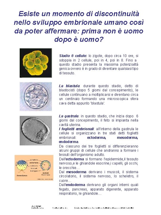 Esiste un momento di discontinuità nello sviluppo embrionale umano così da poter affermare: prima