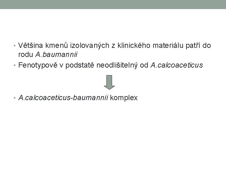  • Většina kmenů izolovaných z klinického materiálu patří do rodu A. baumannii •