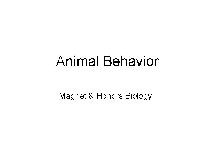 Animal Behavior Magnet & Honors Biology 