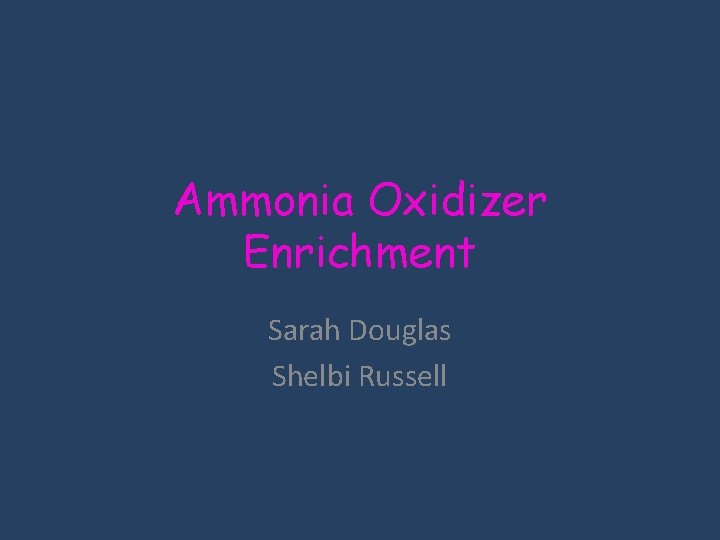 Ammonia Oxidizer Enrichment Sarah Douglas Shelbi Russell 
