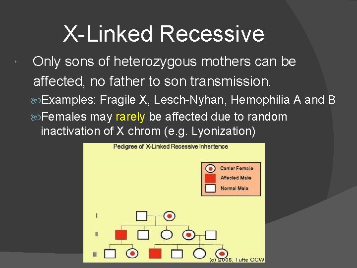 X-Linked Recessive Only sons of heterozygous mothers can be affected, no father to son