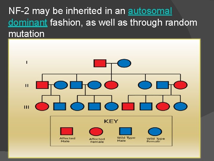 NF-2 may be inherited in an autosomal dominant fashion, as well as through random