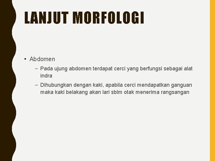LANJUT MORFOLOGI • Abdomen – Pada ujung abdomen terdapat cerci yang berfungsi sebagai alat