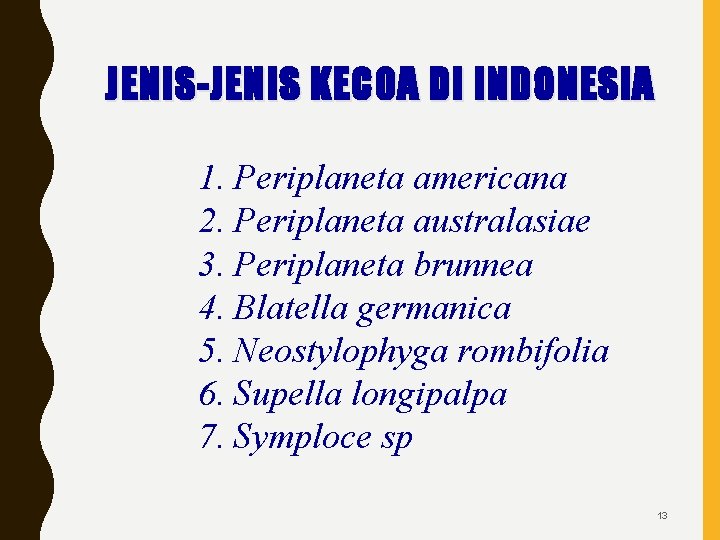 JENIS-JENIS KECOA DI INDONESIA 1. Periplaneta americana 2. Periplaneta australasiae 3. Periplaneta brunnea 4.