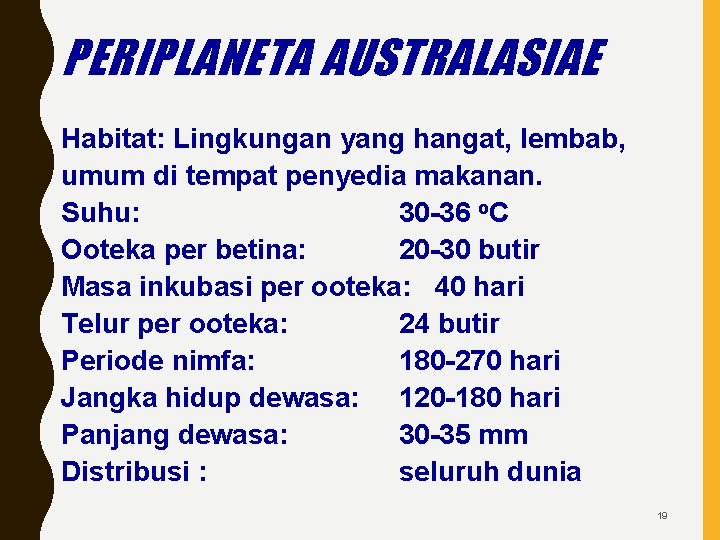 PERIPLANETA AUSTRALASIAE Habitat: Lingkungan yang hangat, lembab, umum di tempat penyedia makanan. Suhu: 30