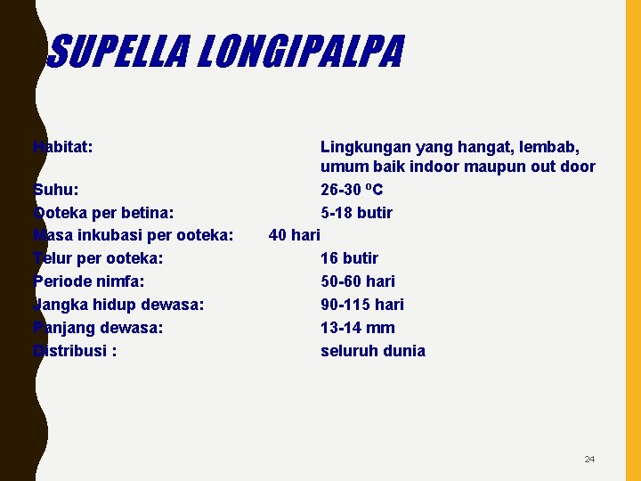 SUPELLA LONGIPALPA Habitat: Suhu: Ooteka per betina: Masa inkubasi per ooteka: Telur per ooteka: