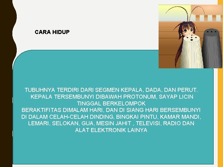 CARA HIDUP TUBUHNYA TERDIRI DARI SEGMEN KEPALA, DADA, DAN PERUT. KEPALA TERSEMBUNYI DIBAWAH PROTONUM,