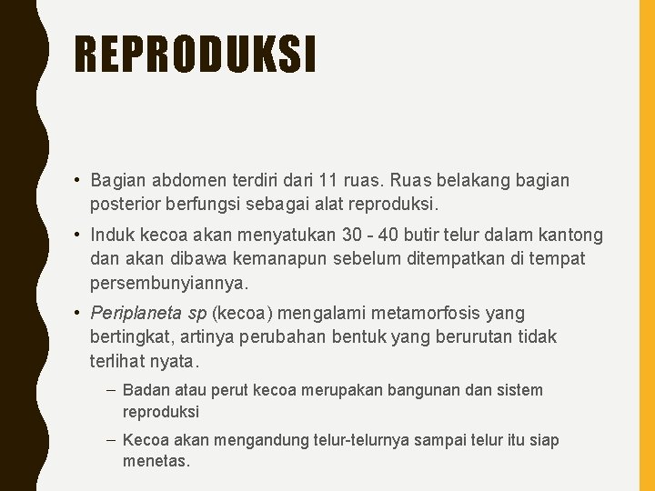 REPRODUKSI • Bagian abdomen terdiri dari 11 ruas. Ruas belakang bagian posterior berfungsi sebagai