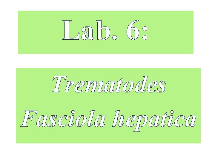 Lab. 6: Trematodes Fasciola hepatica 