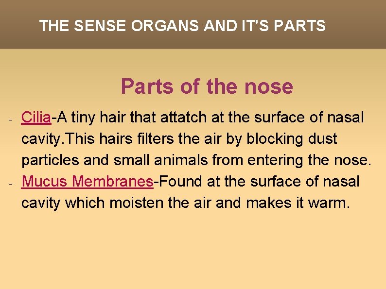 THE SENSE ORGANS AND IT'S PARTS Parts of the nose Cilia-A tiny hair that