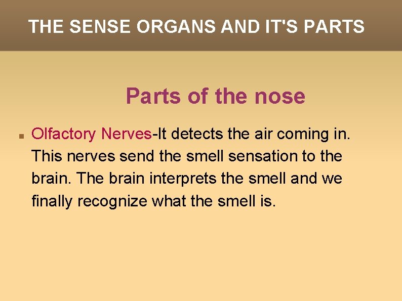 THE SENSE ORGANS AND IT'S PARTS Parts of the nose Olfactory Nerves-It detects the