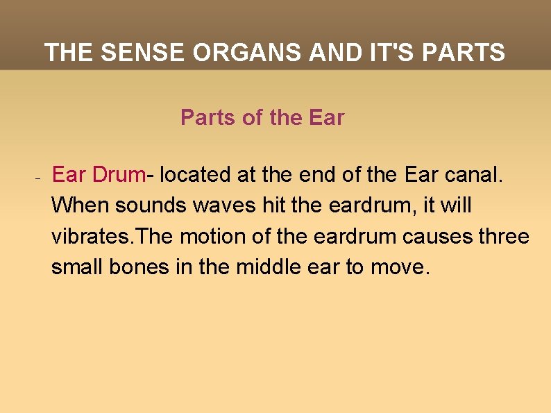 THE SENSE ORGANS AND IT'S PARTS Parts of the Ear Drum- located at the