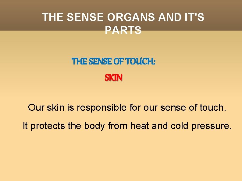THE SENSE ORGANS AND IT'S PARTS THE SENSE OF TOUCH: SKIN Our skin is