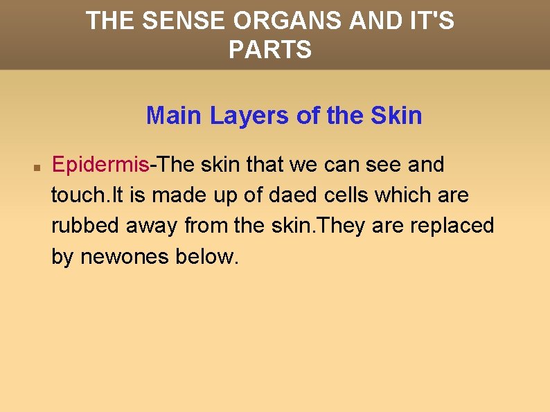 THE SENSE ORGANS AND IT'S PARTS Main Layers of the Skin Epidermis-The skin that