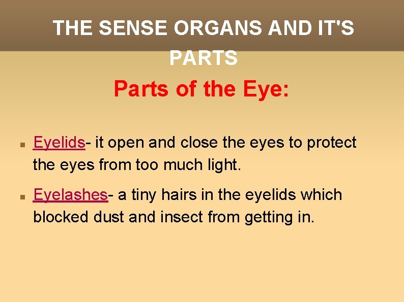 THE SENSE ORGANS AND IT'S PARTS Parts of the Eye: Eyelids- it open and