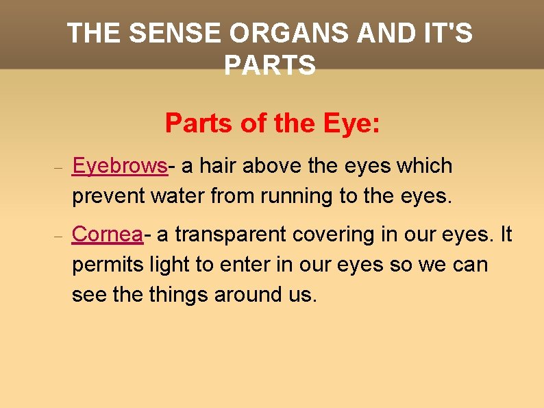 THE SENSE ORGANS AND IT'S PARTS Parts of the Eye: Eyebrows- a hair above