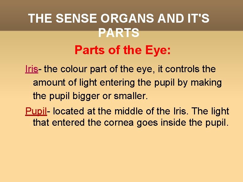 THE SENSE ORGANS AND IT'S PARTS Parts of the Eye: Iris- the colour part