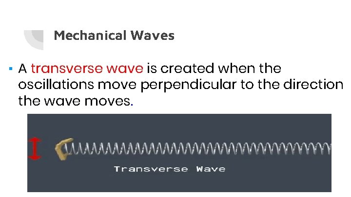 Mechanical Waves ▪ A transverse wave is created when the oscillations move perpendicular to