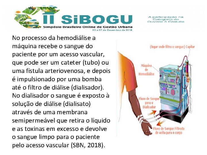 No processo da hemodiálise a máquina recebe o sangue do paciente por um acesso