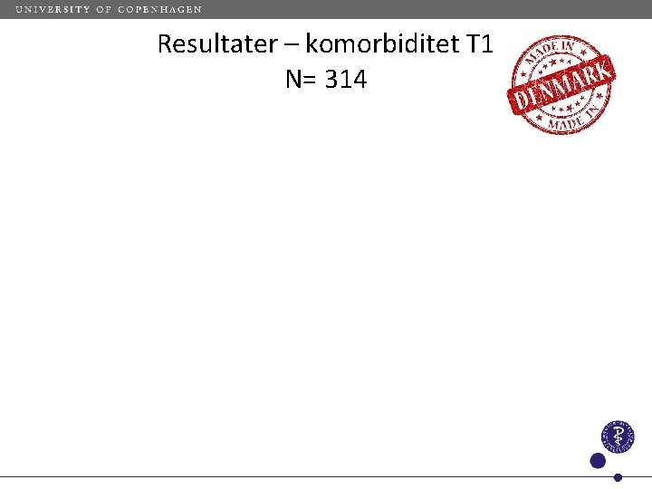 Resultater – komorbiditet T 1 N= 314 