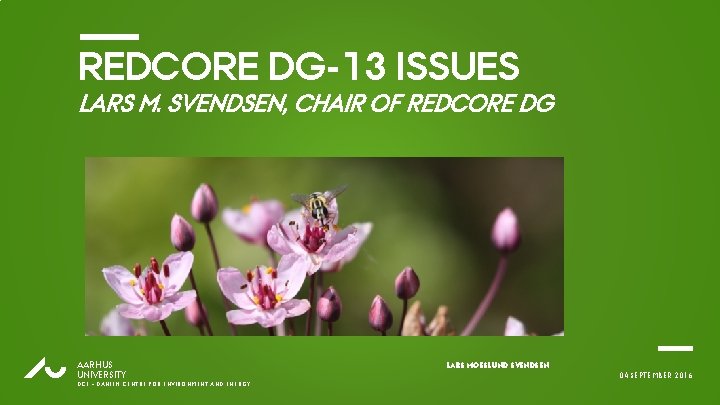 REDCORE DG-13 ISSUES LARS M. SVENDSEN, CHAIR OF REDCORE DG AU AARHUS UNIVERSITY DCE