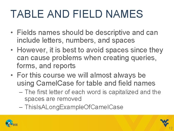 TABLE AND FIELD NAMES • Fields names should be descriptive and can include letters,