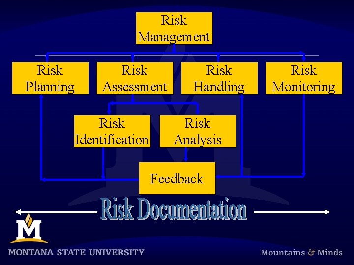 Risk Management Risk Planning Risk Assessment Risk Identification Risk Handling Risk Analysis Feedback Risk