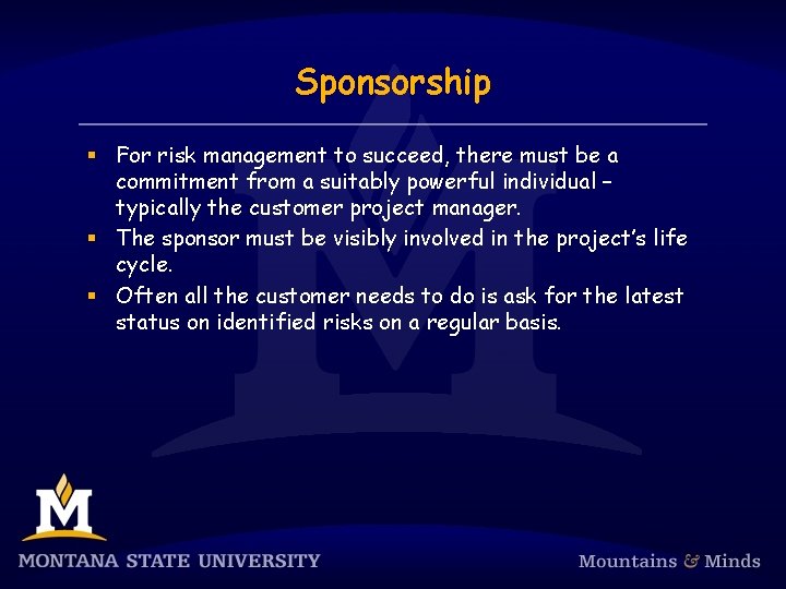 Sponsorship § For risk management to succeed, there must be a commitment from a