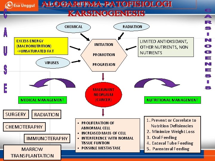 CHEMICAL EXCESS ENERGY (MACRONUTRITION) UNSATURATED FAT VIRUSES MEDICAL MANAGEMENT SURGERY RADIATION INITIATION PROMOTION PROGRESION