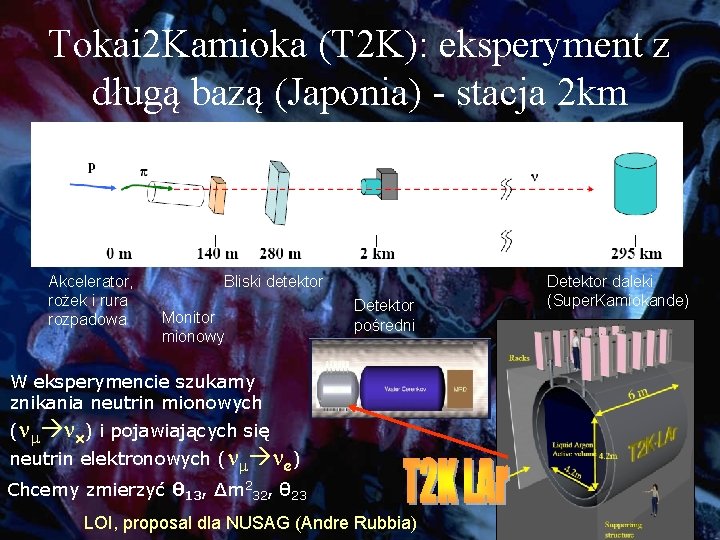 Tokai 2 Kamioka (T 2 K): eksperyment z długą bazą (Japonia) - stacja 2