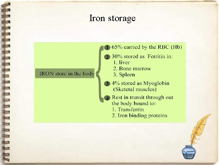 Iron storage 