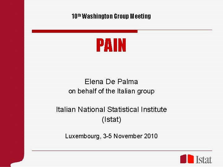 10 th Washington Group Meeting PAIN Elena De Palma on behalf of the Italian