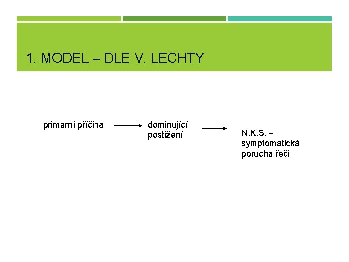 1. MODEL – DLE V. LECHTY primární příčina dominující postižení N. K. S. –