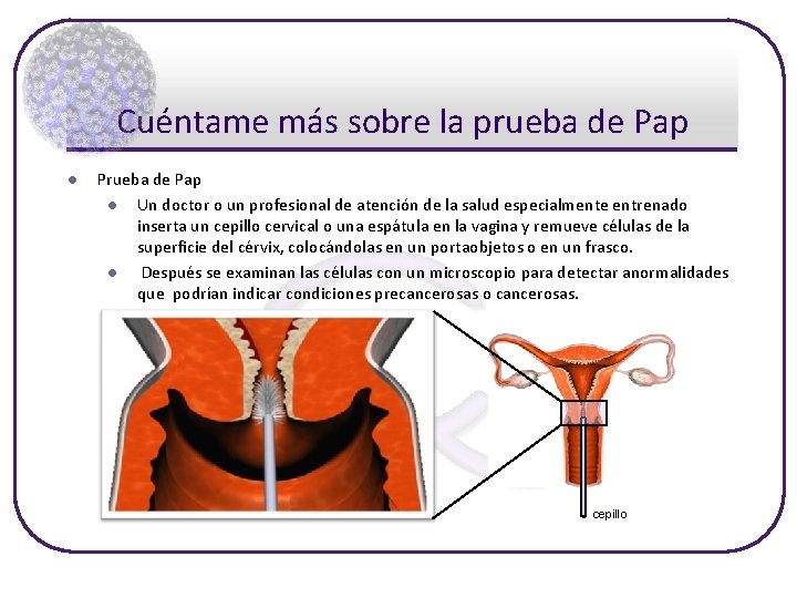 Cuéntame más sobre la prueba de Pap l Prueba de Pap l Un doctor