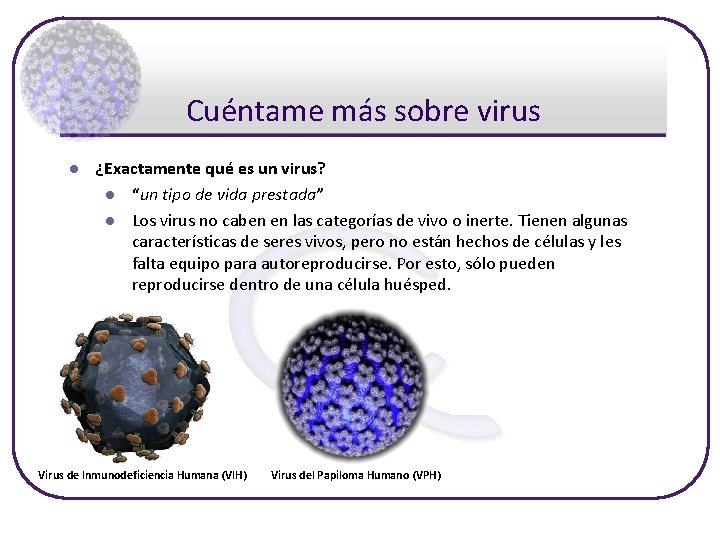 Cuéntame más sobre virus l ¿Exactamente qué es un virus? l “un tipo de