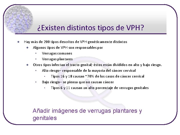 ¿Existen distintos tipos de VPH? l Hay más de 200 tipos descritos de VPH