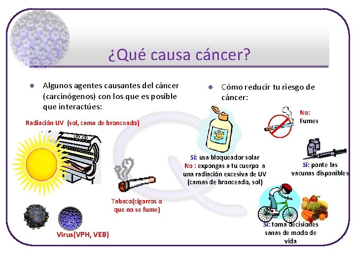 ¿Qué causa cáncer? l Algunos agentes causantes del cáncer (carcinógenos) con los que es