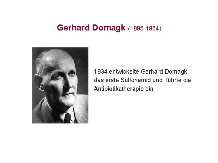 Gerhard Domagk (1895 -1964) 1934 entwickelte Gerhard Domagk das erste Sulfonamid und führte die