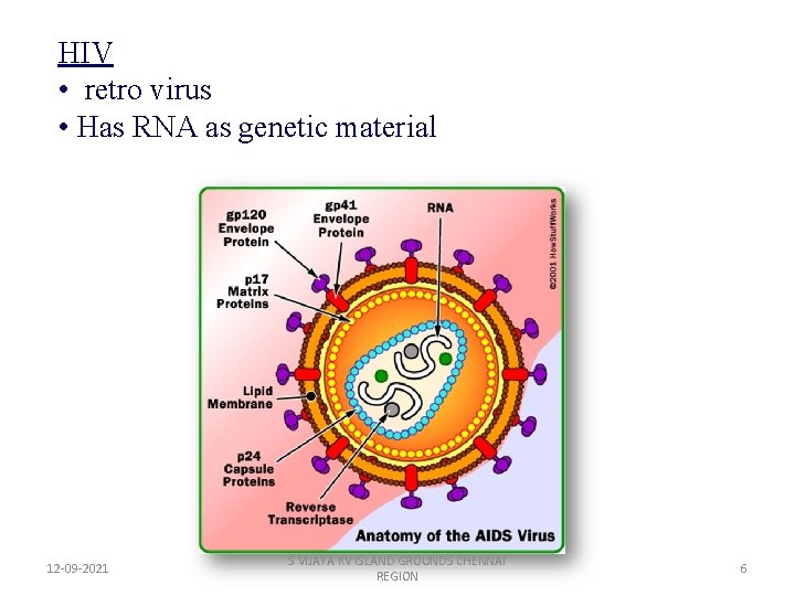 HIV • retro virus • Has RNA as genetic material 12 -09 -2021 S