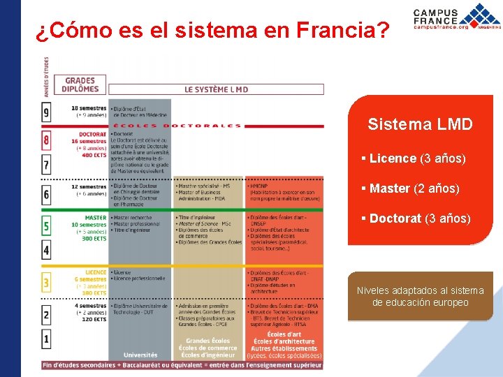 ¿Cómo es el sistema en Francia? Sistema LMD Licence (3 años) Master (2 años)