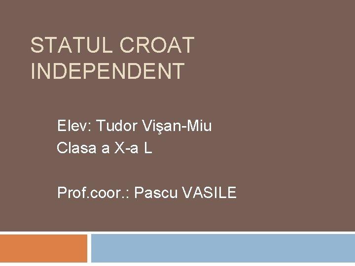 STATUL CROAT INDEPENDENT Elev: Tudor Vişan-Miu Clasa a X-a L Prof. coor. : Pascu